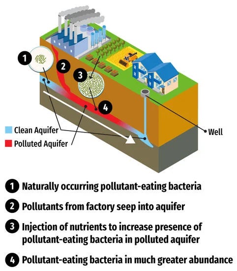 Biological groundwater treatment